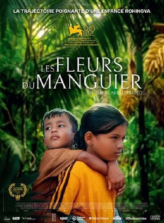 Projection-débat : Les fleurs du manguier